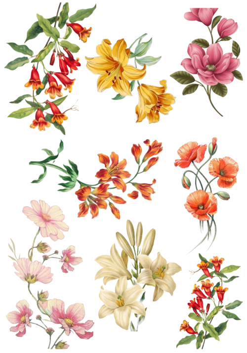 Çiçekler Sticker 4